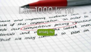 Lån 1000 kr nu